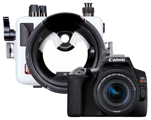 Ikelite Canon SL3 Camera, Lens and Housing Package